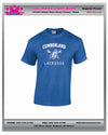 CUMBERLAND YOUTH LACROSSE MENS UNISEX COTTON TEE-YOUTH AND ADULT SIZES ROYAL,GREY,WHITE